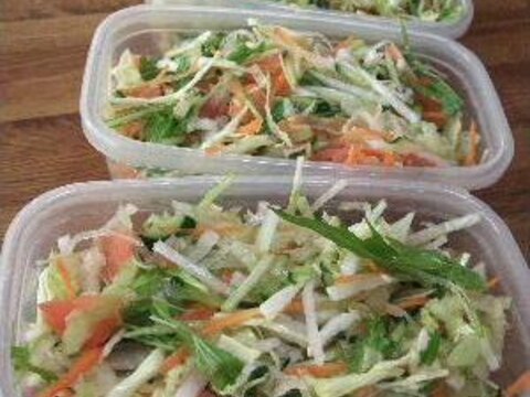 サラダの種を作り置き！いろいろ応用簡単♪★生野菜